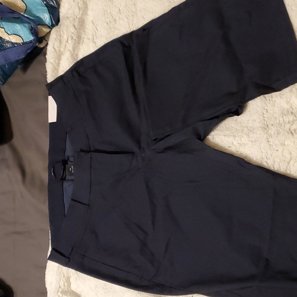 Lane bryant Allie boot cut dress pants